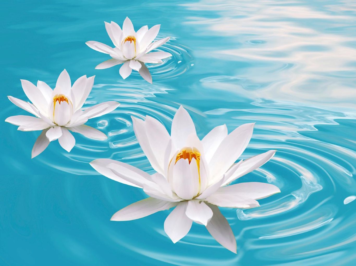 Energetisches Coaching