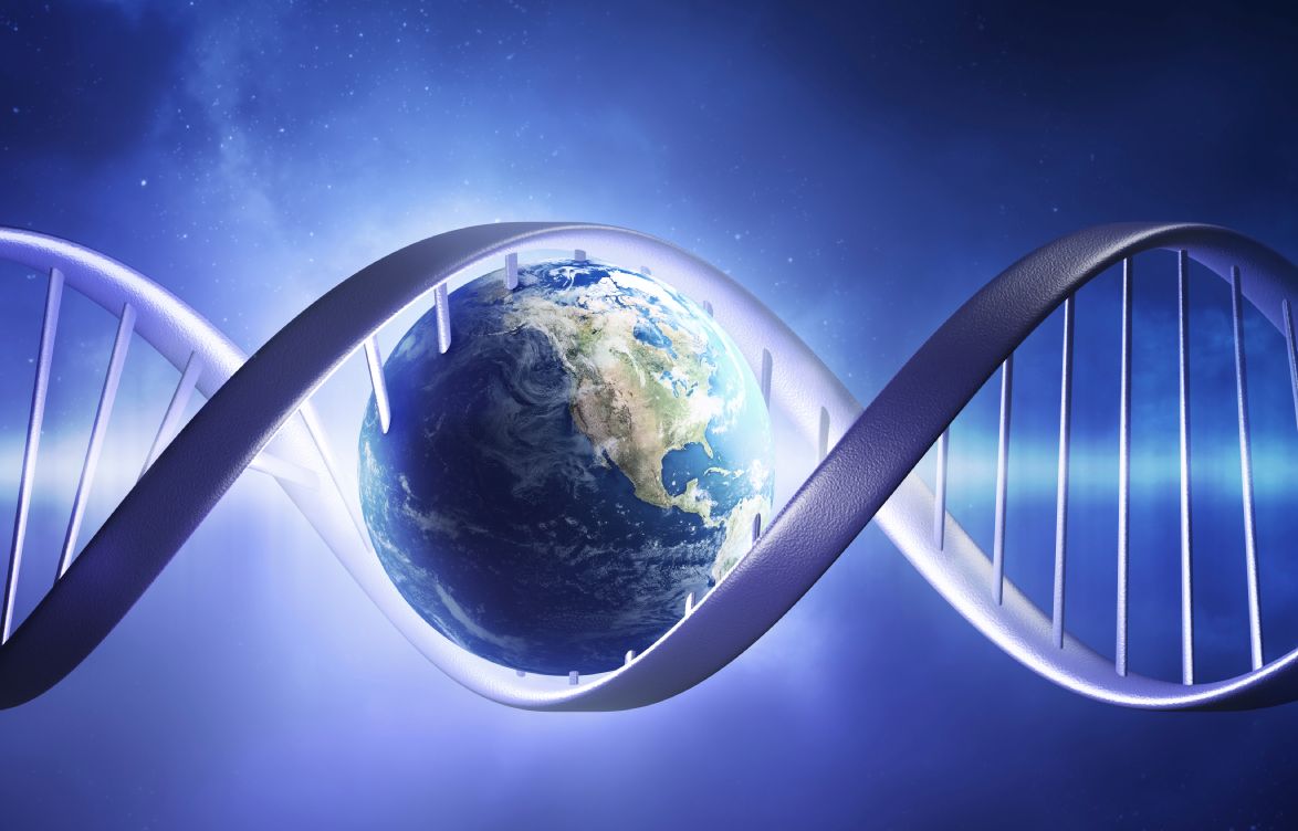 Die 7 universellen Gesetze