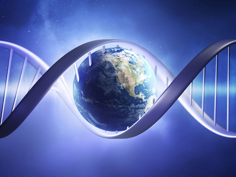 die 7 universellen Gesetze