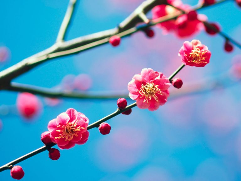 positive Gedanken